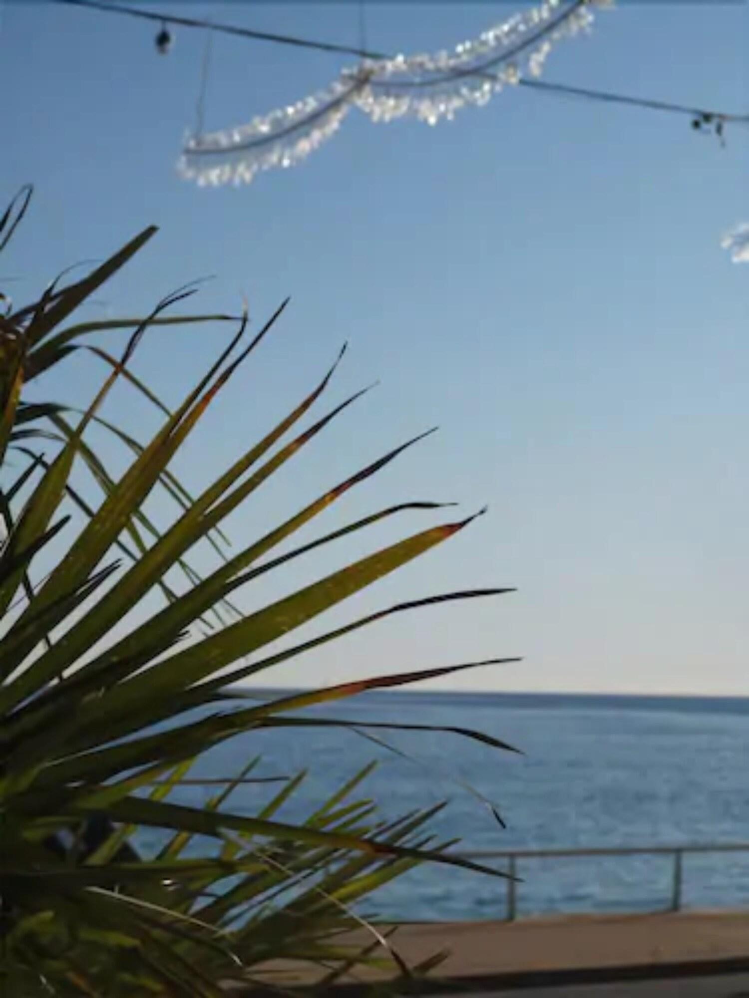 Le Dauphin 3*